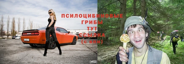 Альфа ПВП Арсеньев