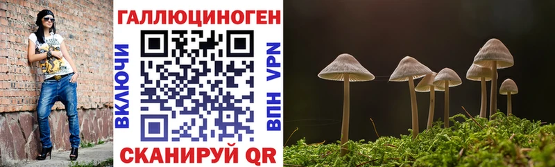 Псилоцибиновые грибы ЛСД  наркота  Унеча 