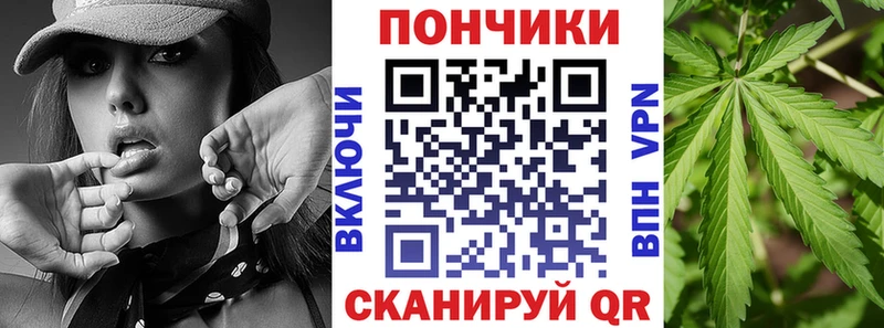 магазин    Унеча  Шишки марихуана Bruce Banner 